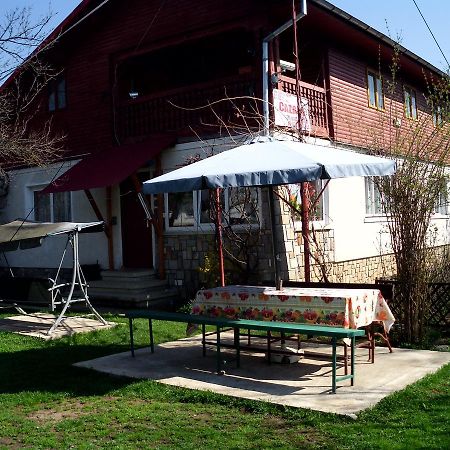 Vila Mihaela Breaza  Exterior photo