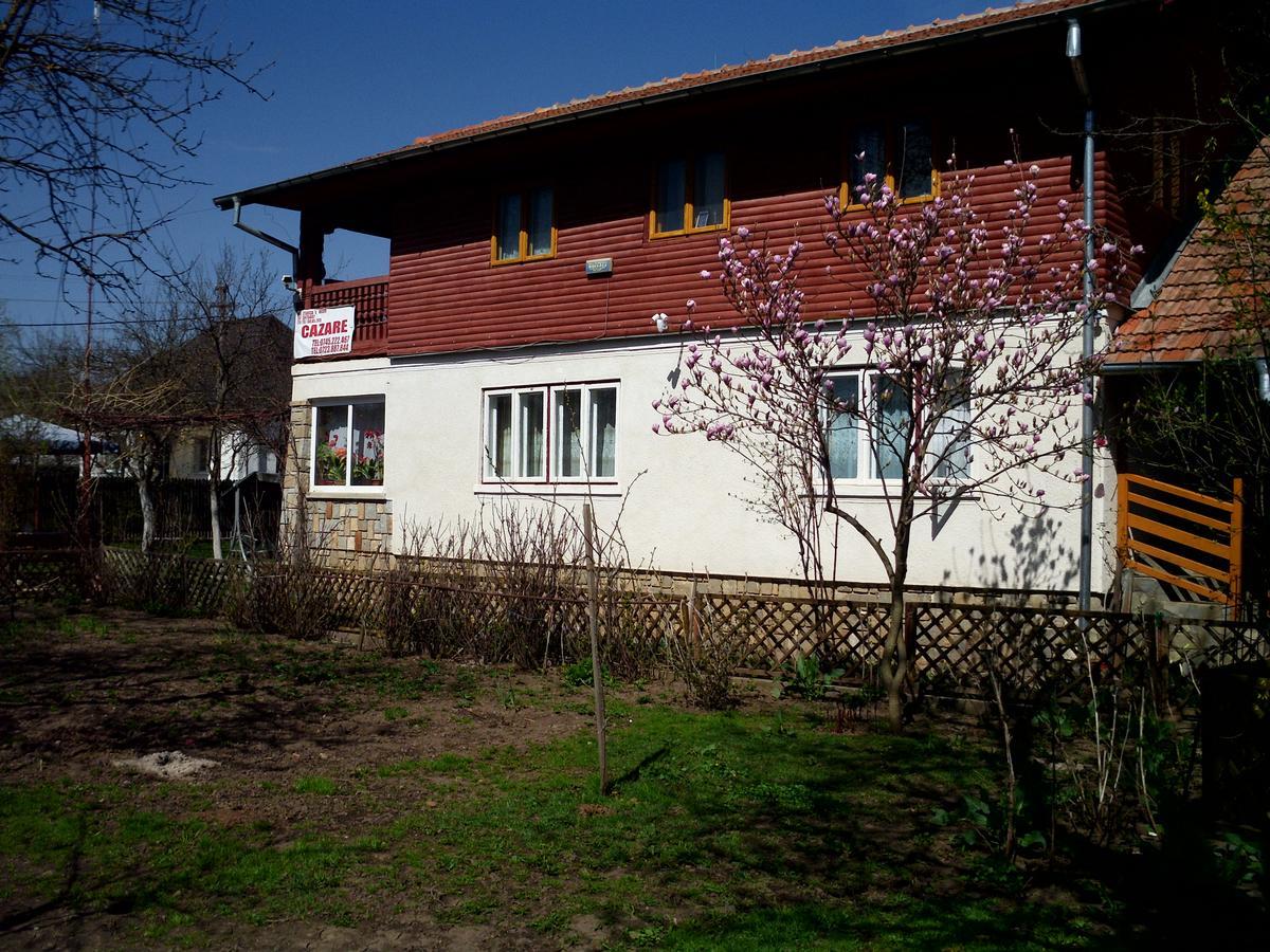 Vila Mihaela Breaza  Exterior photo