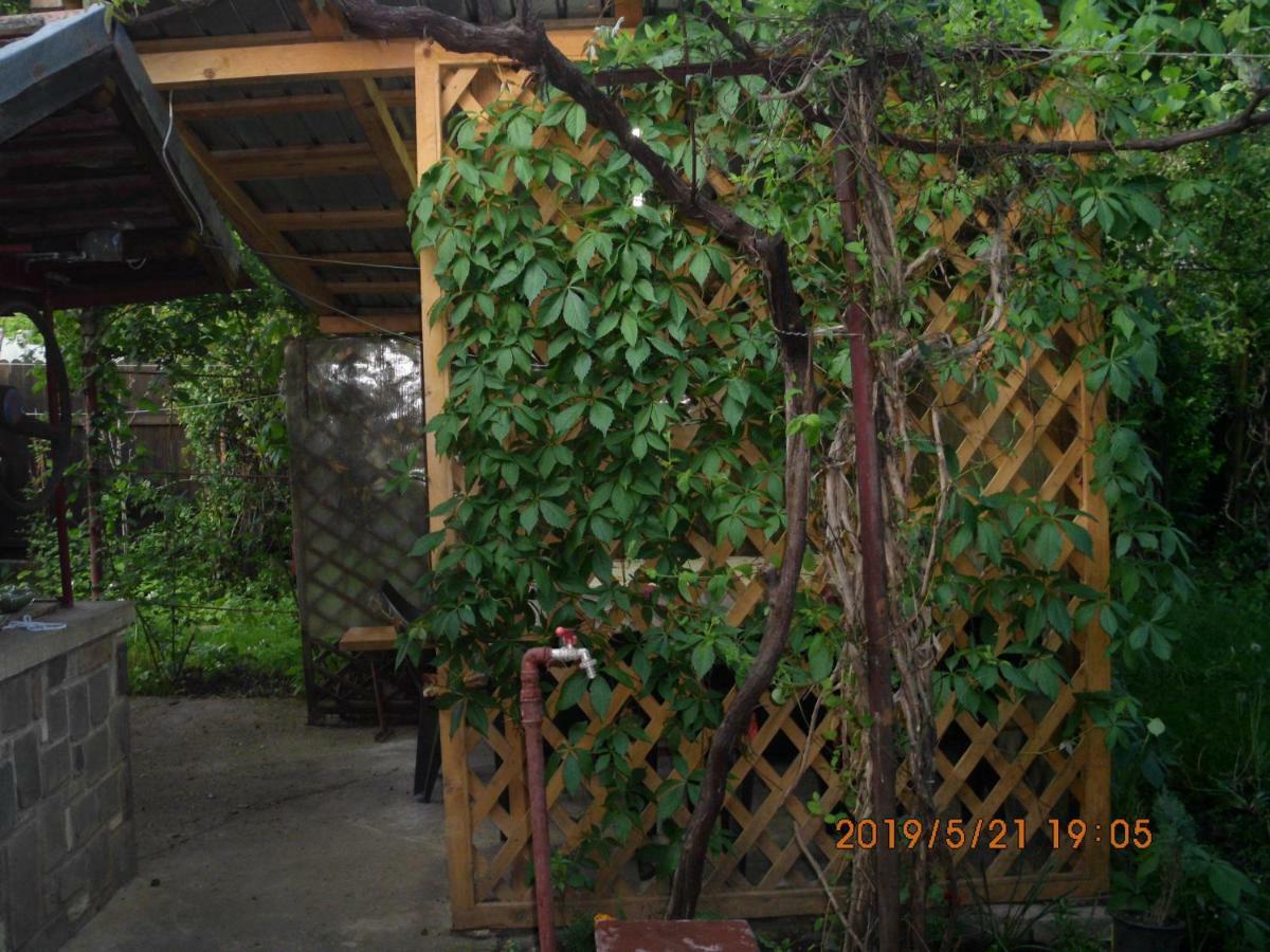 Vila Mihaela Breaza  Exterior photo