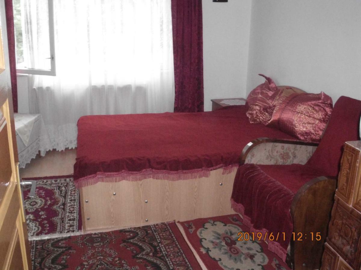 Vila Mihaela Breaza  Exterior photo