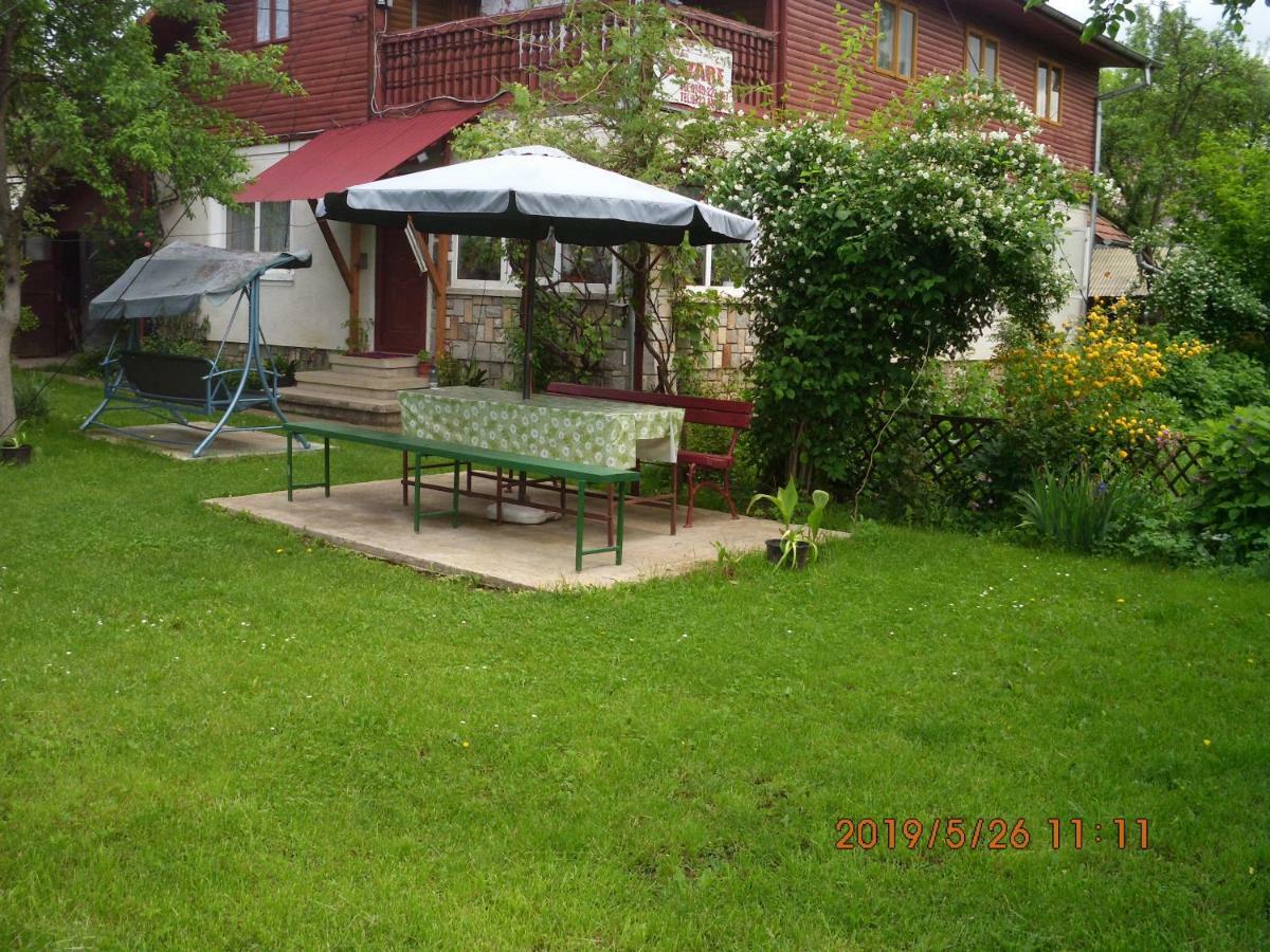 Vila Mihaela Breaza  Exterior photo