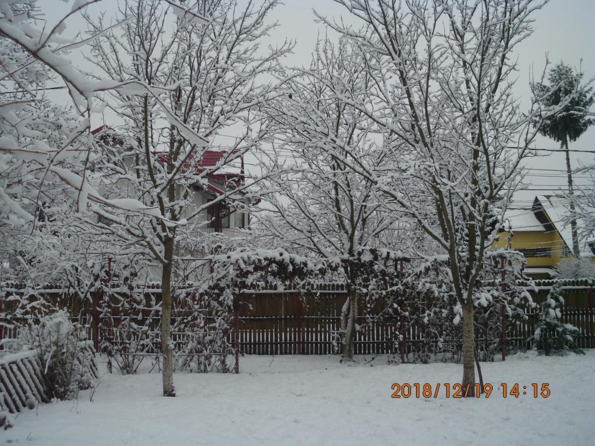 Vila Mihaela Breaza  Exterior photo