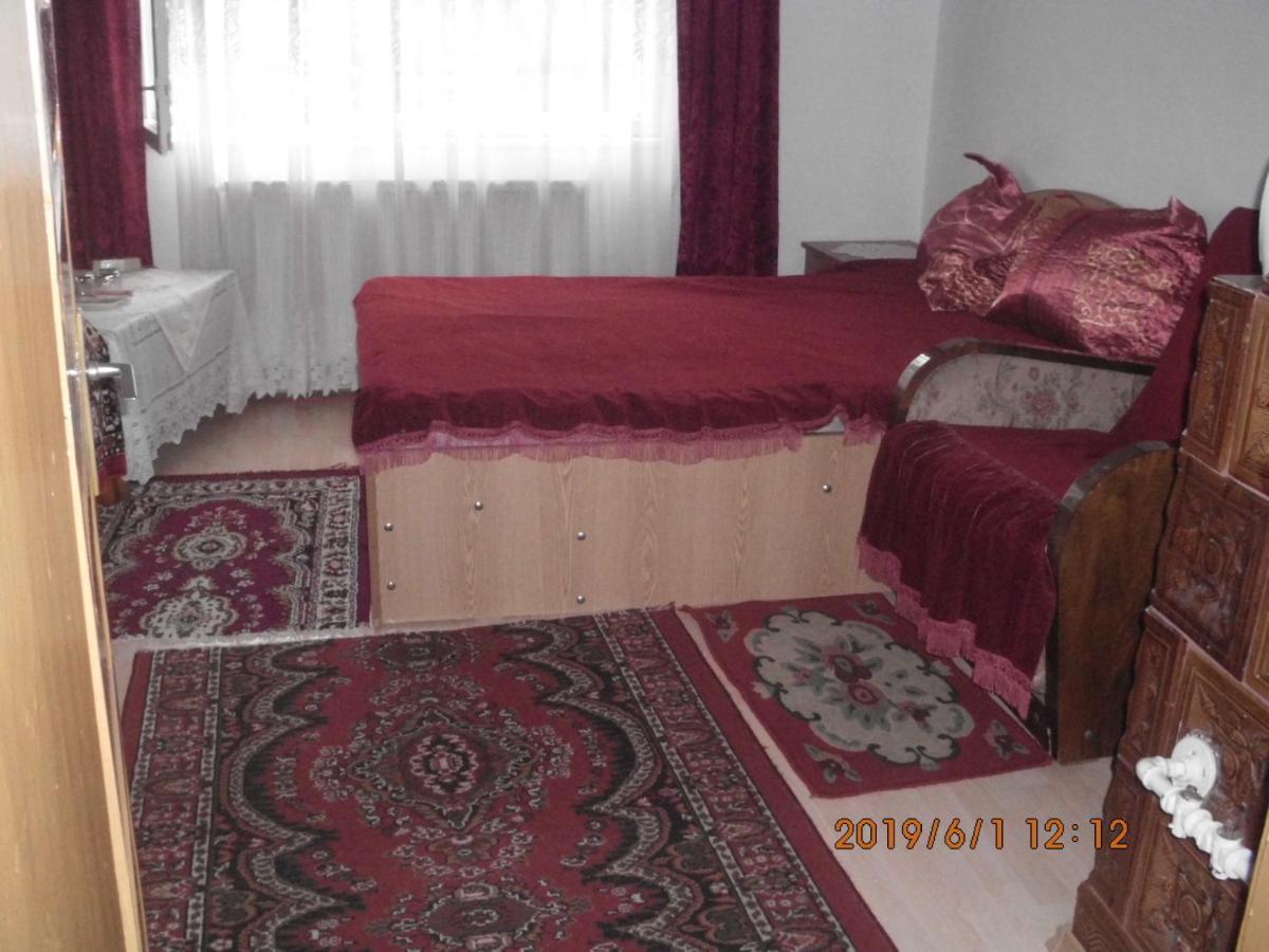 Vila Mihaela Breaza  Exterior photo
